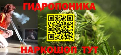 таблы Сланцы
