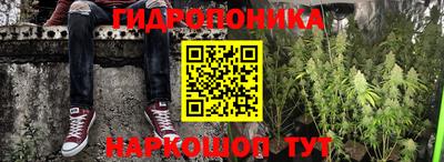 таблы Сланцы